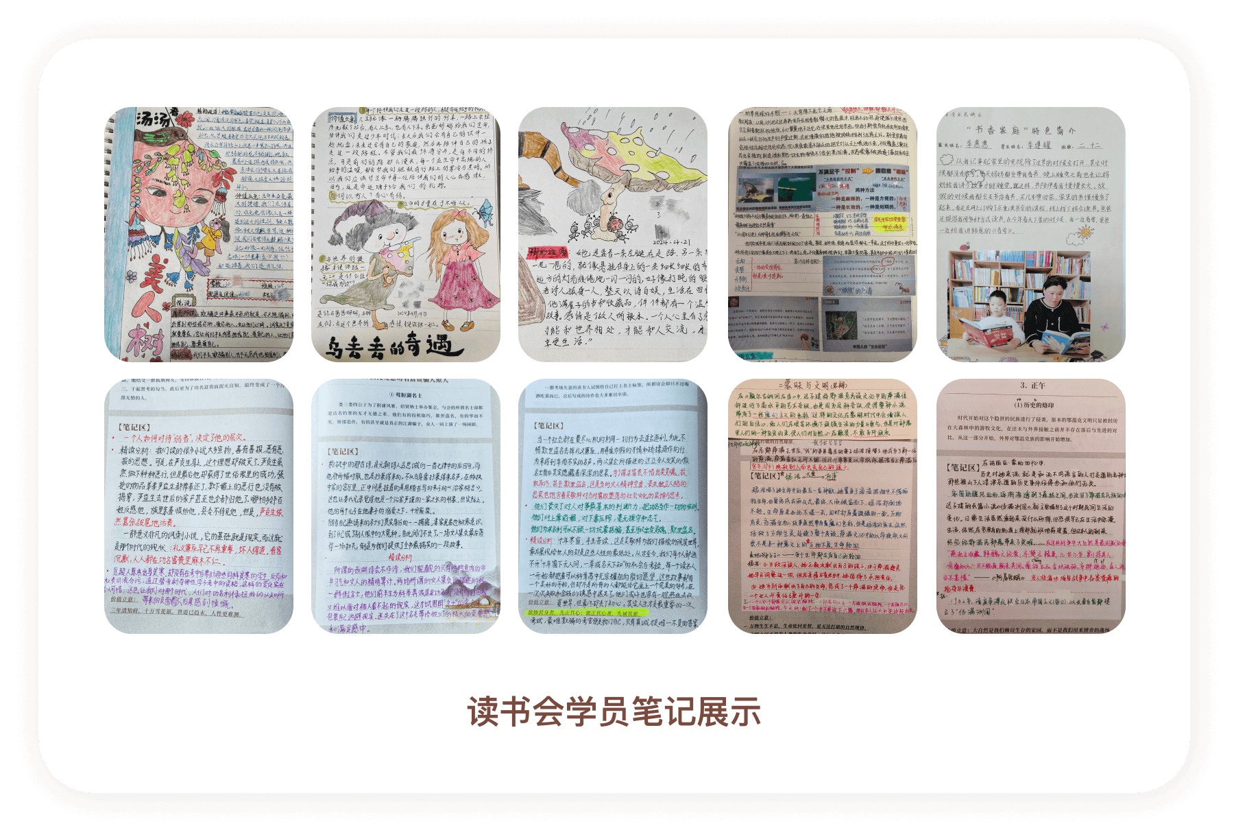 教学体系